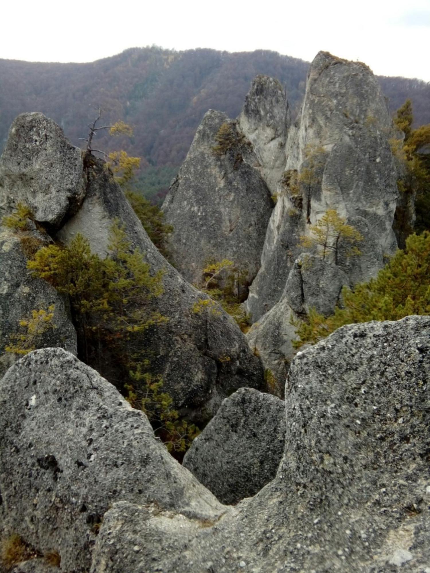 Apartmán Castle Kastiel Kotešová Exteriér fotografie